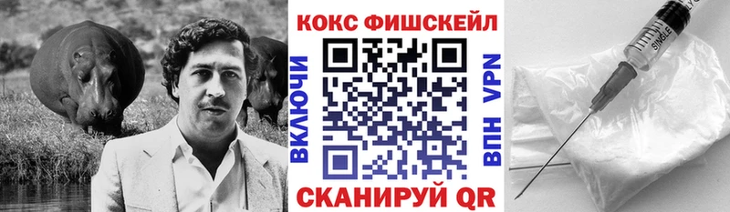 блэк спрут как зайти  Саров  COCAIN Fish Scale 