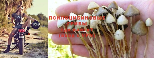 сатива Осинники