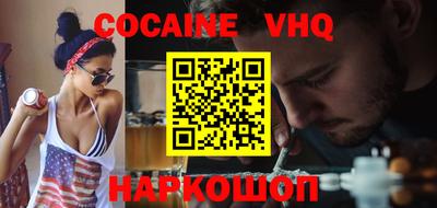 гашик Кингисепп