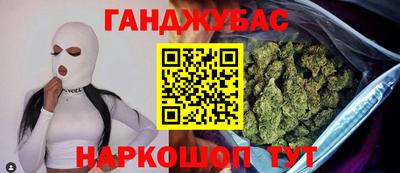 гашик Кингисепп