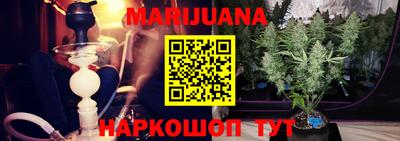 гашик Кингисепп