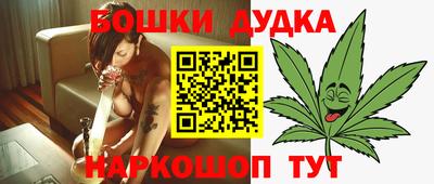 гашик Кингисепп