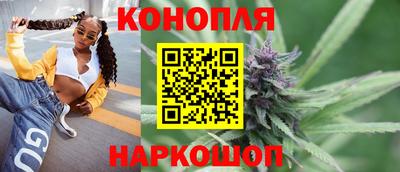 гашик Кингисепп