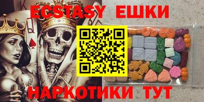 гашик Кингисепп