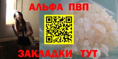 гашик Кингисепп