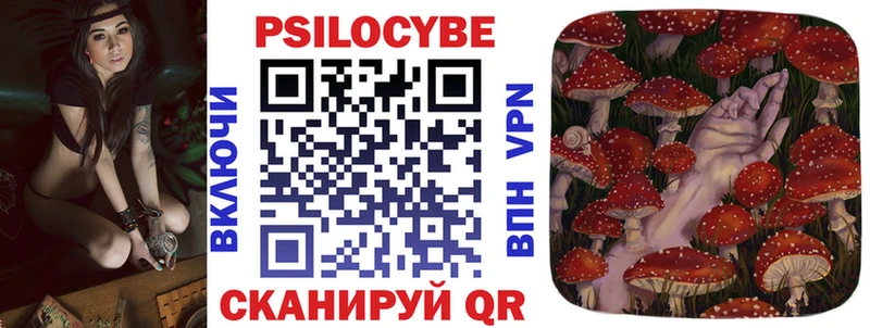 купить  цена  Саров  Псилоцибиновые грибы Psilocybe 