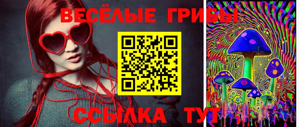 Галлюциногенные грибы мицелий Саров