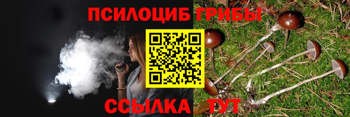 Галлюциногенные грибы ЛСД  Вход с VPN  Саров 